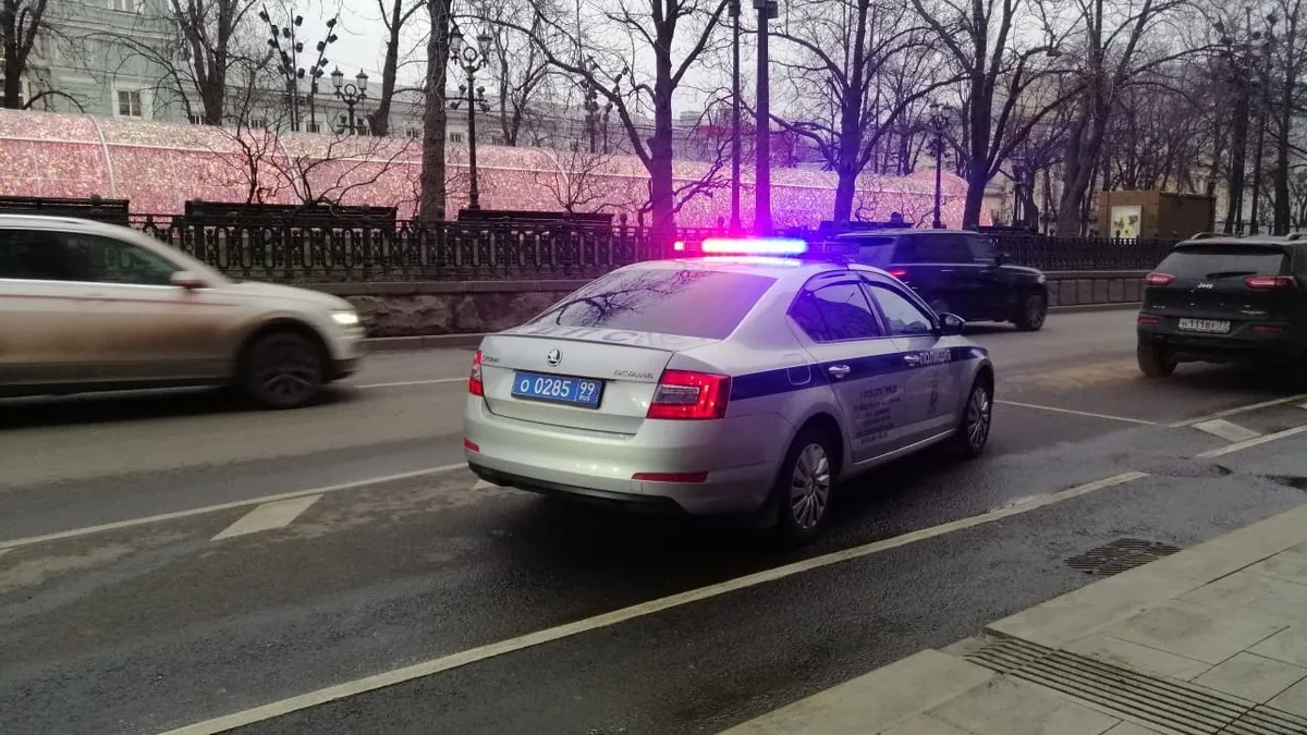 Поздравления с Днём полиции: стихи, проза и смс к 10 ноября