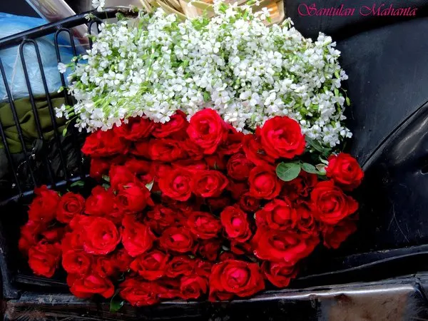 5038-krasivye-korotkie-prikolnye-pozdravleniya-pape.html