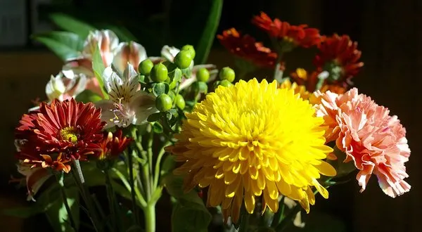 4677-pozhelaniya-horoshego-dnya-pape.html