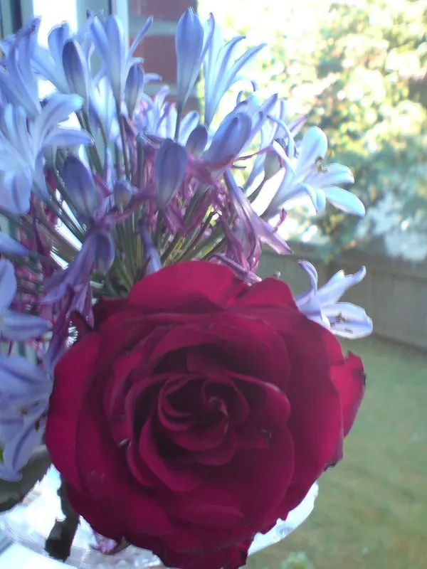 10369-krasivye-pozdravleniya-vladimiru-svoimi-slovami.html