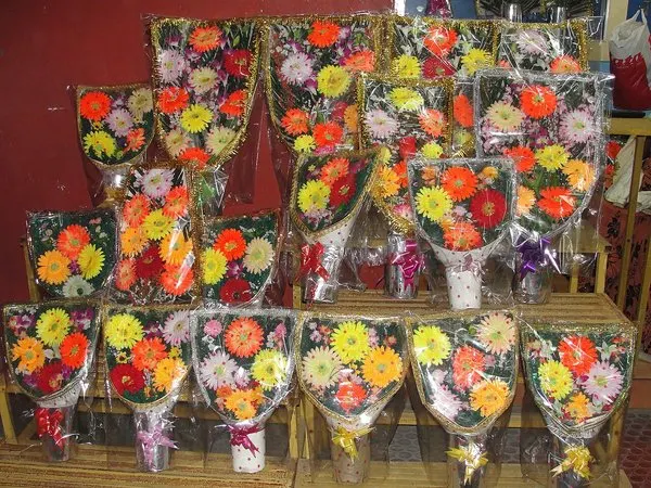 10351-pozdravleniya-aleksandru.html